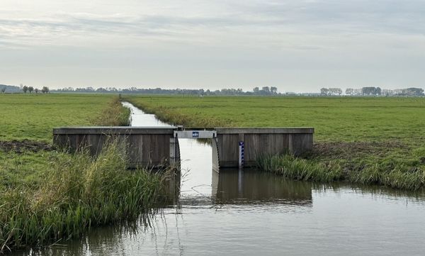 Natuur - project vernatten Reitdieppolder
